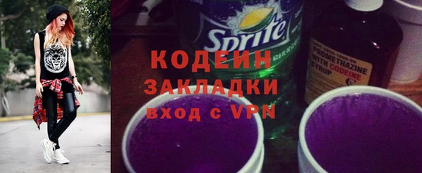 соль ск Вяземский