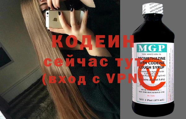 соль ск Вяземский
