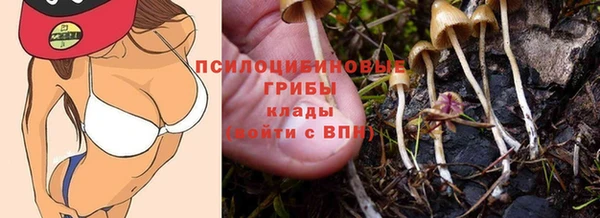 мяу мяу мука Волоколамск